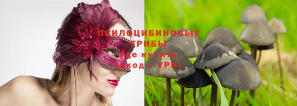 не бодяженный Беломорск