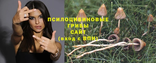 не бодяженный Беломорск