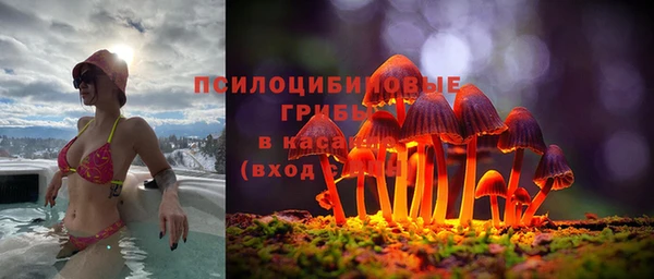 не бодяженный Белокуриха