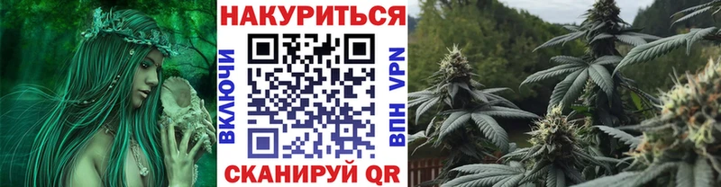 где продают   Сибай  Бошки Шишки Amnesia 